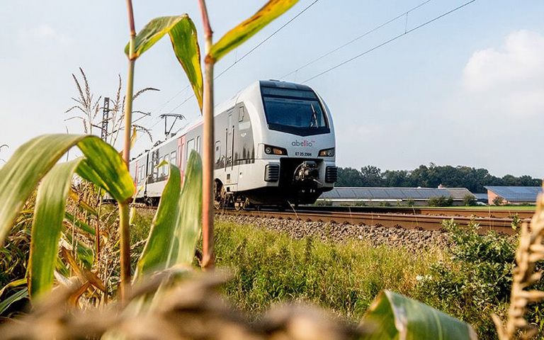 Bild in Froschperspektive: Ein Zug von Abellio fährt an einer grünen Wiese vorbei.