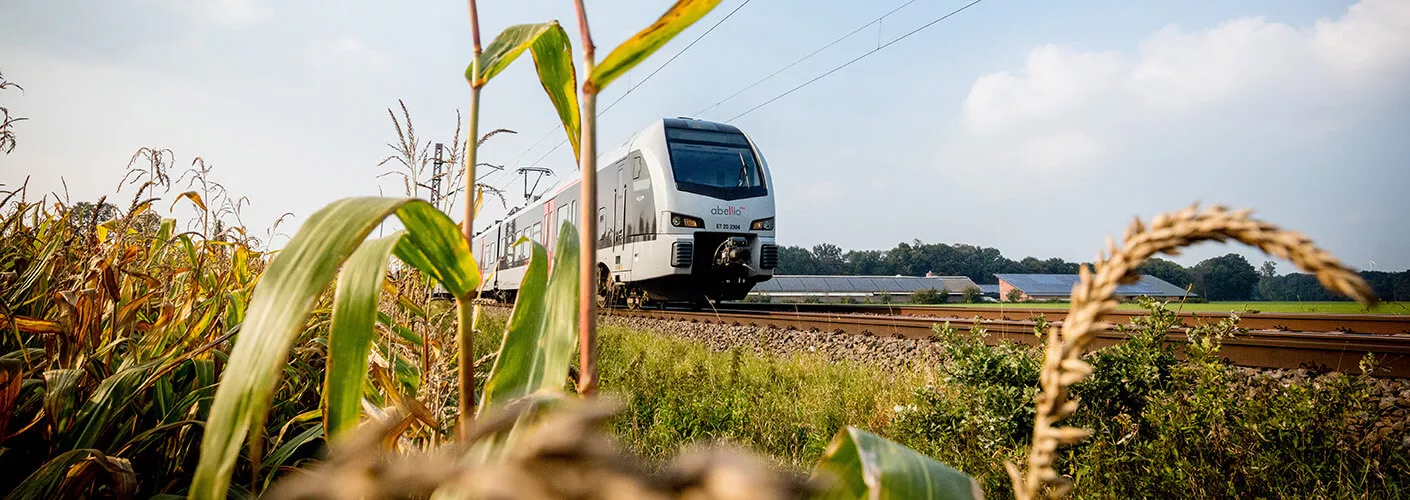 Bild in Froschperspektive: Ein Zug von Abellio fährt an einer grünen Wiese vorbei.